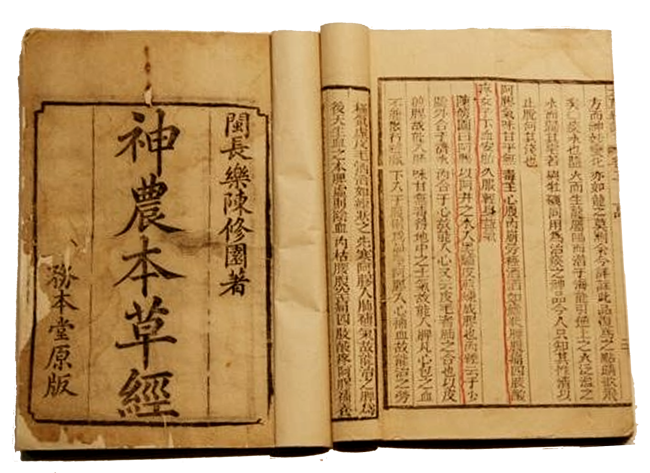 scrolls1