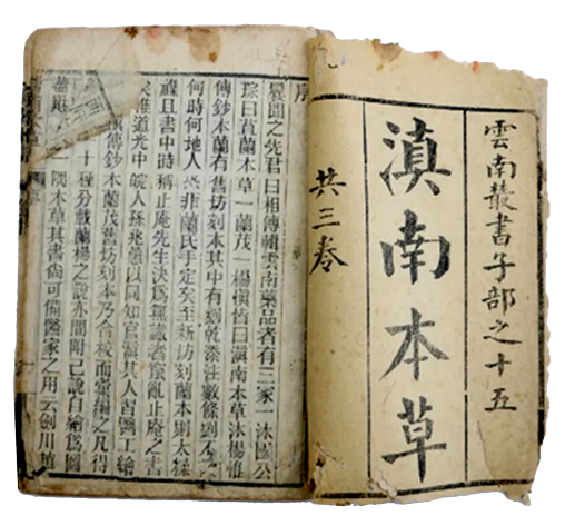 scrolls3