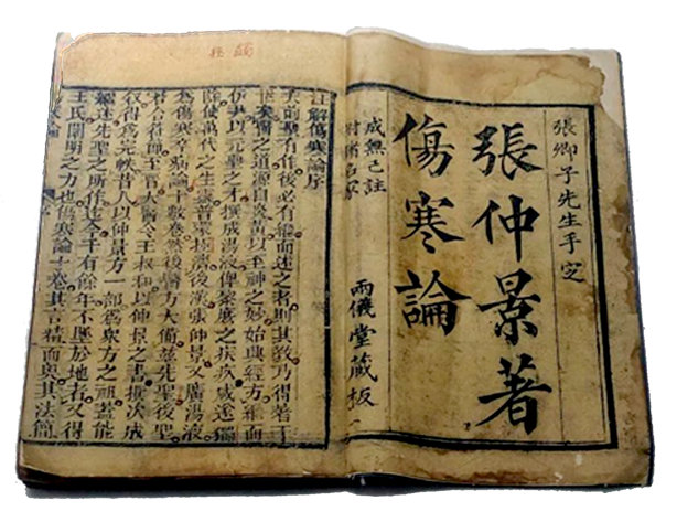 scrolls6